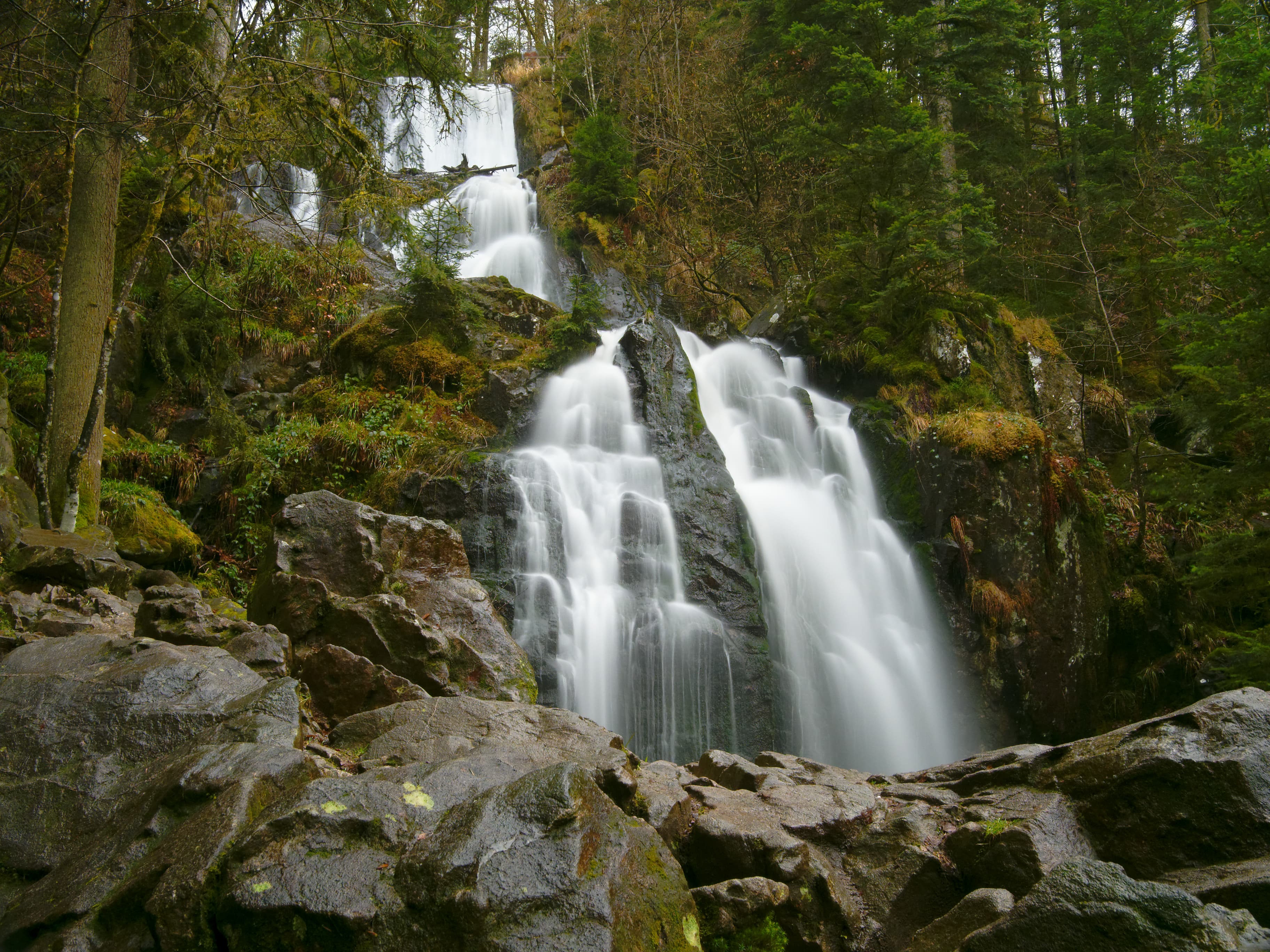 Cascade dans une forêt des Vosges