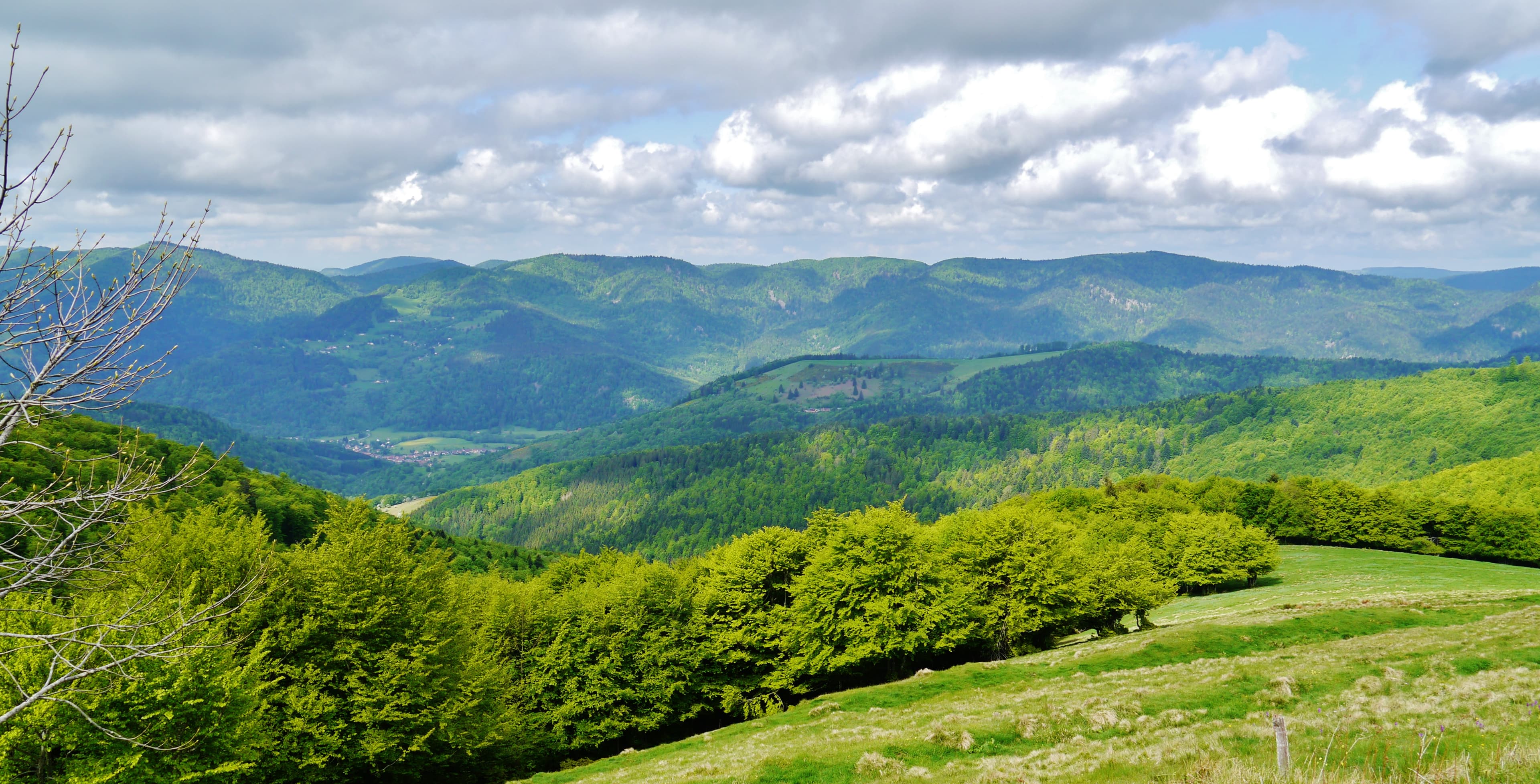 Paysage de montagne sur la Route des Crêtes
